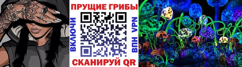 Псилоцибиновые грибы Psilocybine cubensis  Торжок 
