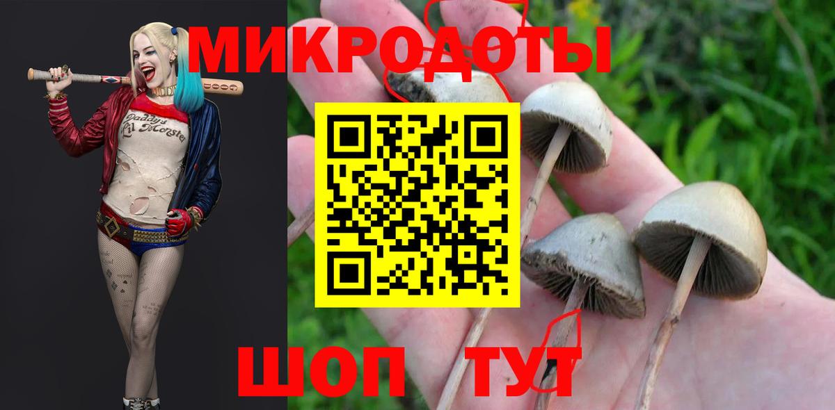 Торжок  Псилоцибиновые грибы Psilocybe  Галлюциногенные грибы мухоморы  Вход с VPN 