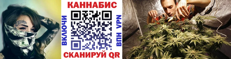 Марихуана MAZAR где найти наркотики Торжок